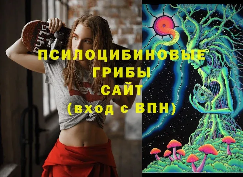 Псилоцибиновые грибы Psilocybine cubensis  ссылка на мегу как зайти  Терек 